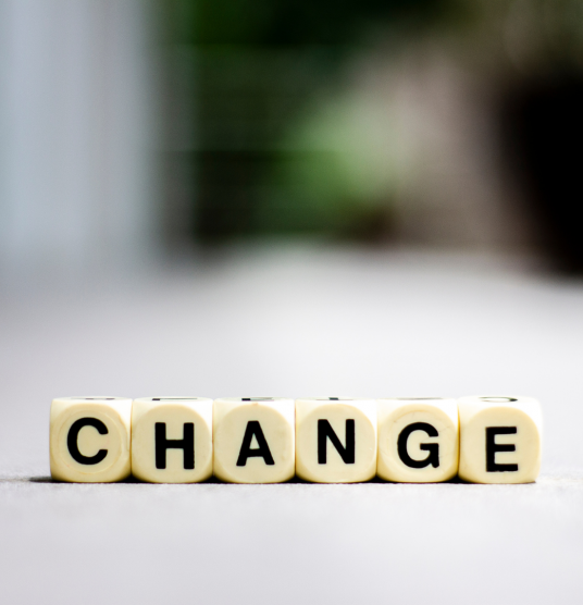 How To Adapt Your Business To Change Bizdaq